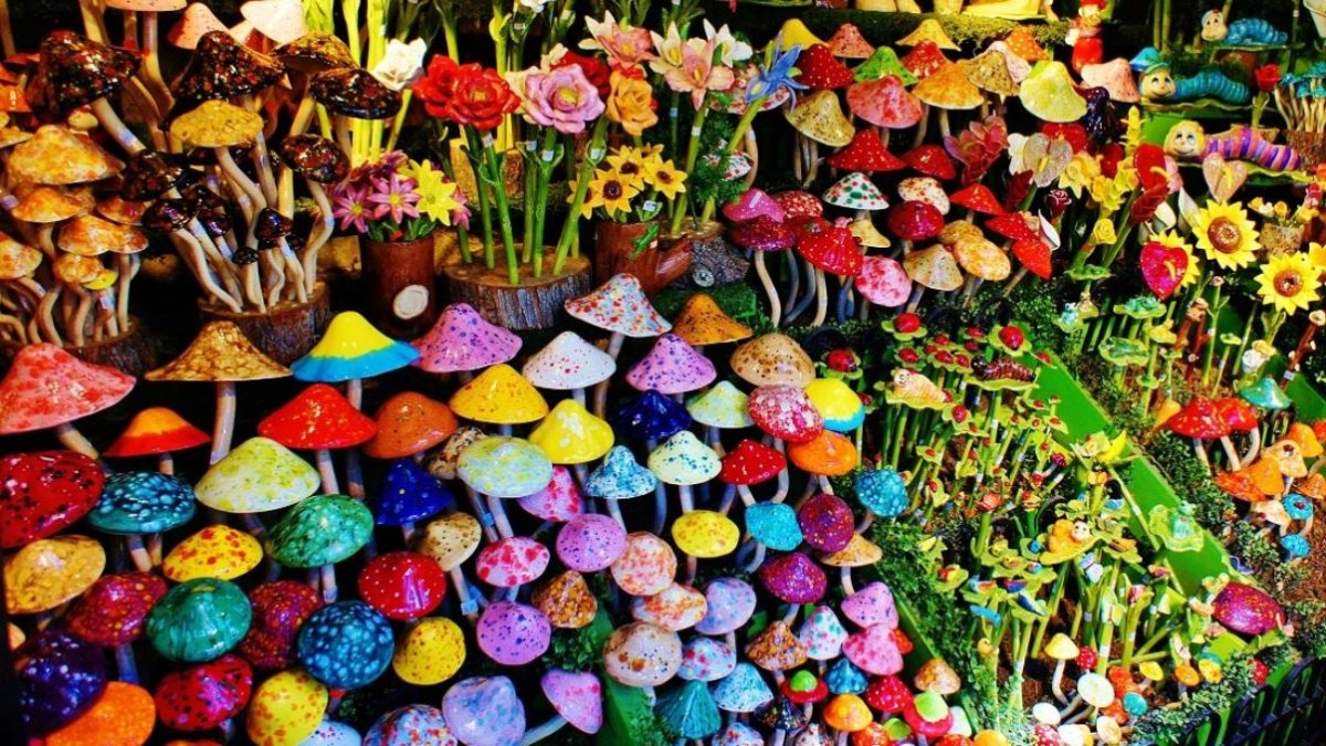 An Outdoor Art Fantasia Will Soon Sprout in Laguna Beach – NBC Los Angeles - Vimarsana News