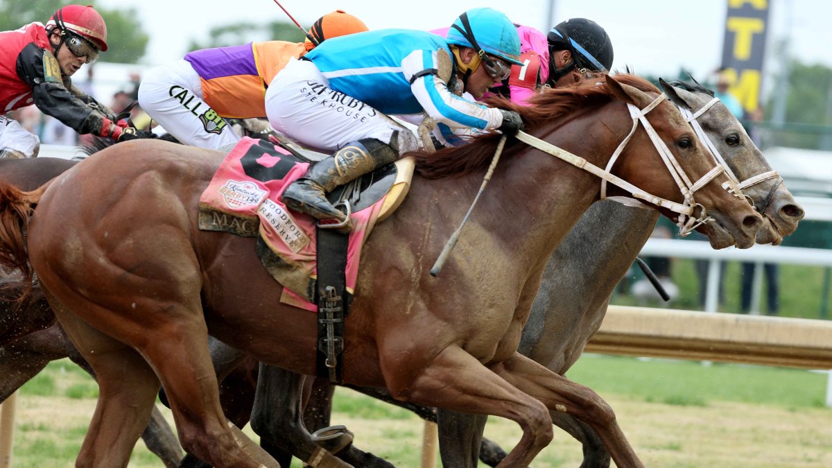 5 Things to Know About Mage, 2023 Kentucky Derby Winner NBC Los Angeles