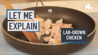 Let Me Explain: Lab-Grown Chicken