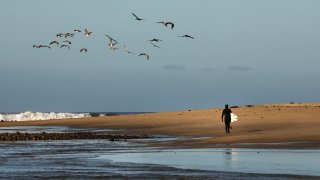 Birds take to the sky as surfers take advantage of the low tide swell at Malibu Surfrider Beach.