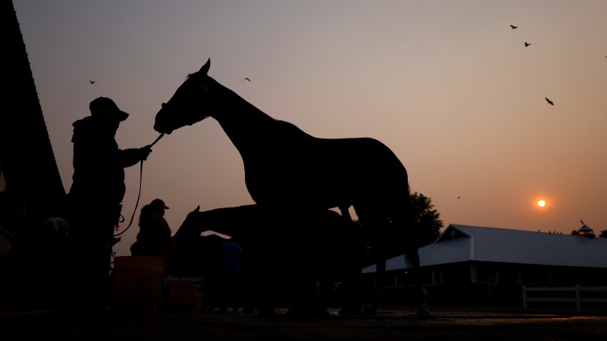 ELMONT, NEW YORK – JUNE 08:  A horse is bathed at sunrise outside it’s barn prior to the 155th running of the Belmont Stakes at Belmont Park on June 08, 2023 in Elmont, New York.  All training and racing on the track were cancelled today due to the Canadian wildfires.  Air pollution alerts were issued across the United States due to smoke from wildfires that have been burning in Canada for weeks.