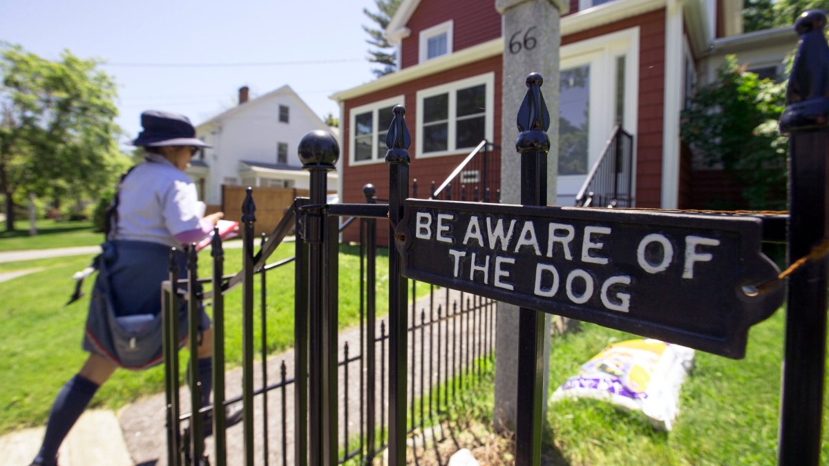 USPS reveals dog attack national rankings for 2022 NBC Los Angeles