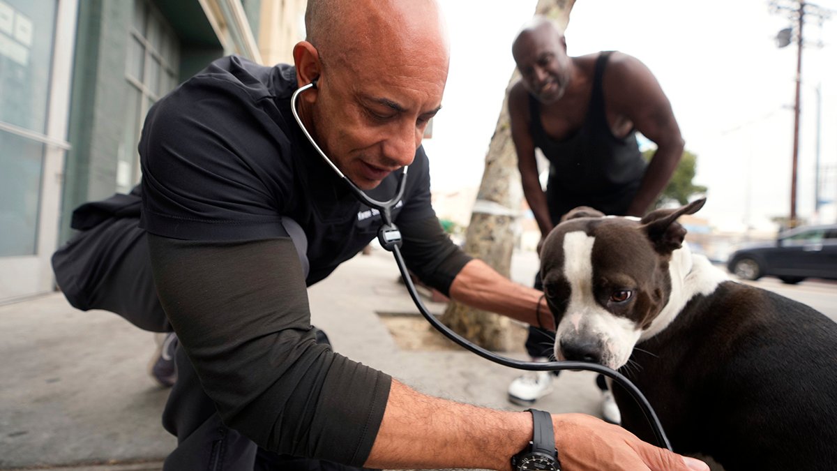 Nearly 1/3 of the US homeless population lives in California. This veterinarian cares for the pets - Vimarsana News