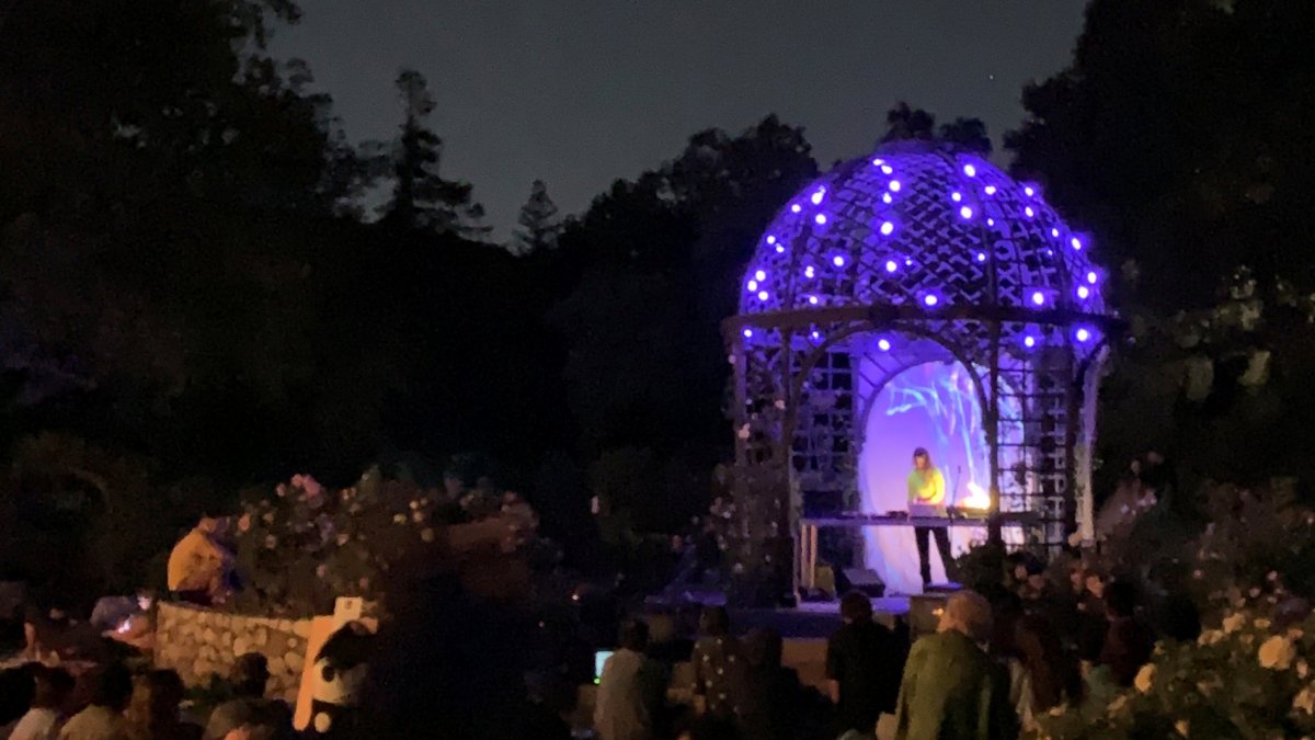 Experience Tonalism: dublab's late night ambient music happening at  Descanso Gardens