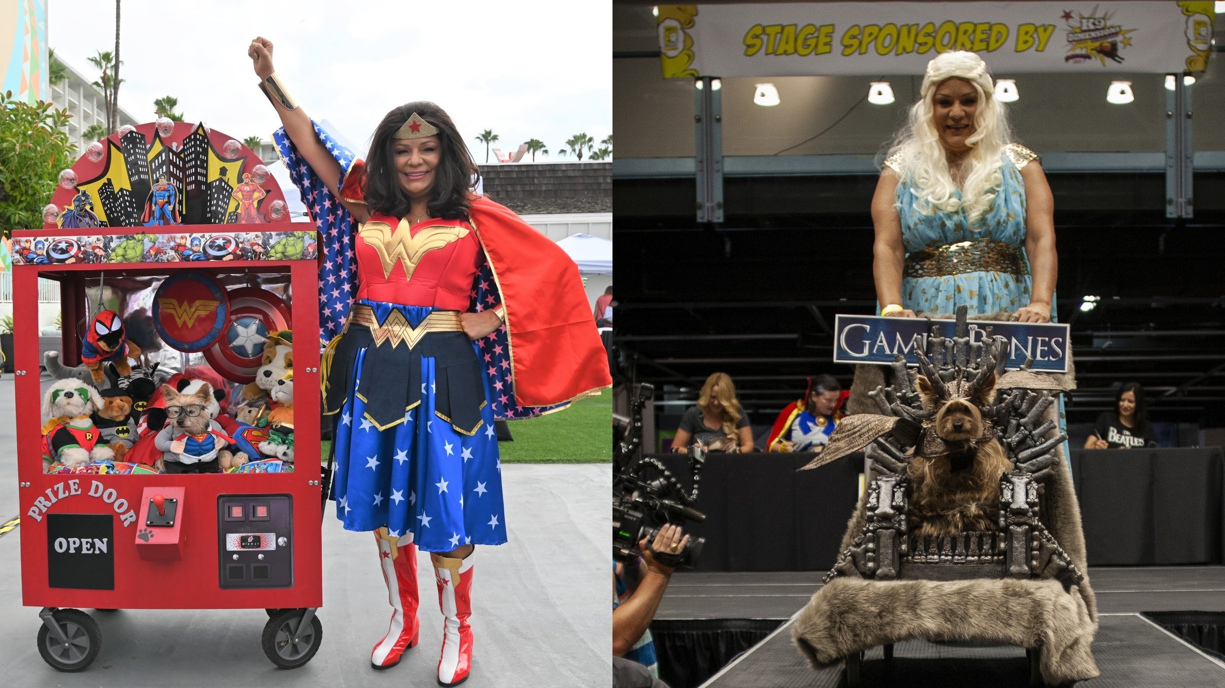 PAWmicon will give pups a chance to be superheroes (for a great cause) - Vimarsana News