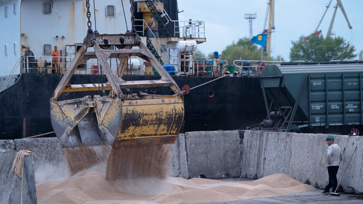 Russia halts wartime deal that allows Ukraine to ship grain – NBC Los Angeles - Vimarsana News