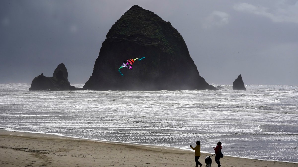Oregon's Cannon Beach reopens after cougar sighting – NBC Los Angeles - Vimarsana News