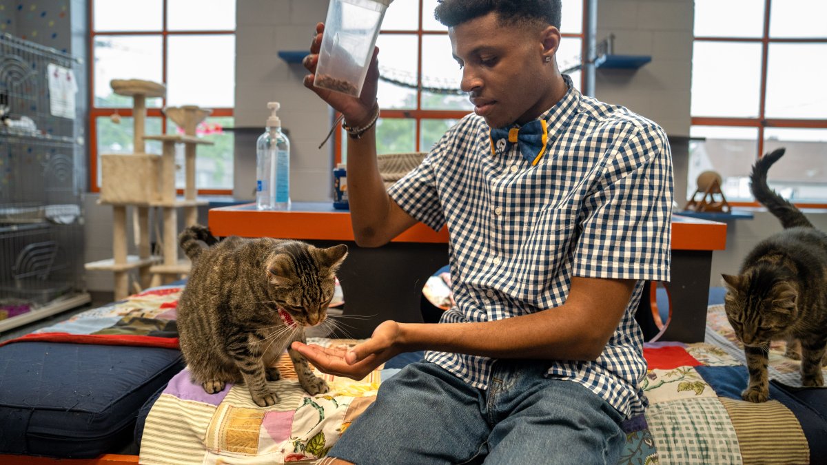Teen's mission is to save shelter animals one bow tie at a time – NBC Los Angeles - Vimarsana News