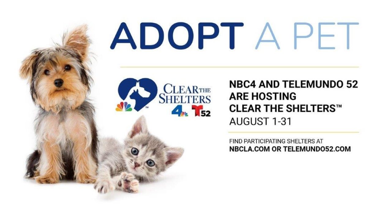 NBC4 AND TELEMUNDO 52’s CLEAR THE SHELTERS™ PET ADOPTION & DONATION