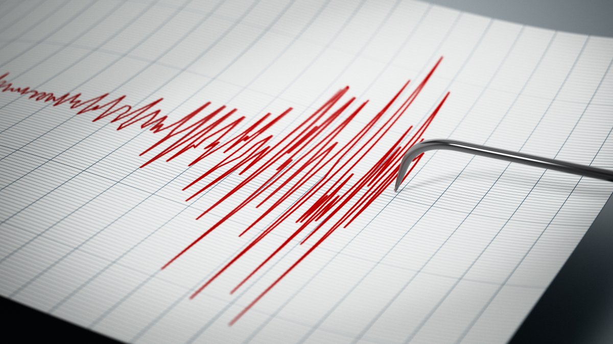 7.4 magnitude quake strikes the Alaska Peninsula, triggers tsunami advisory – NBC Los Angeles - Vimarsana News