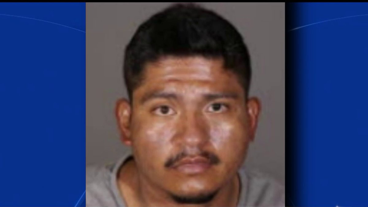 Man arrested for sexually assaulting women and child in Reseda – NBC ...