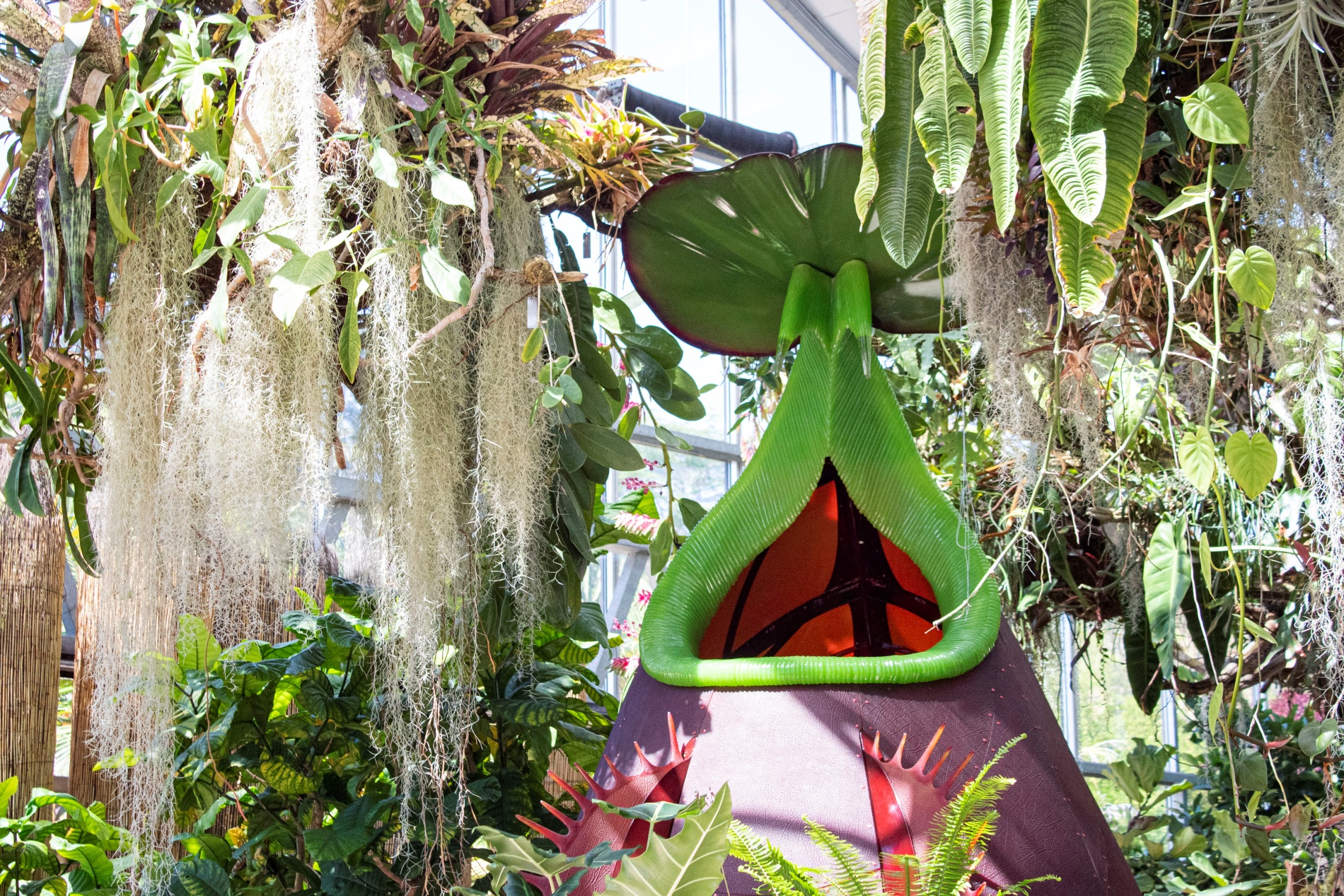 Spectacular 'Savage' plants are the frightfully fun focus at this