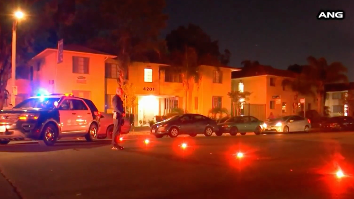 85-year-old grandfather killed in hit-and-run crash in South LA – NBC ...