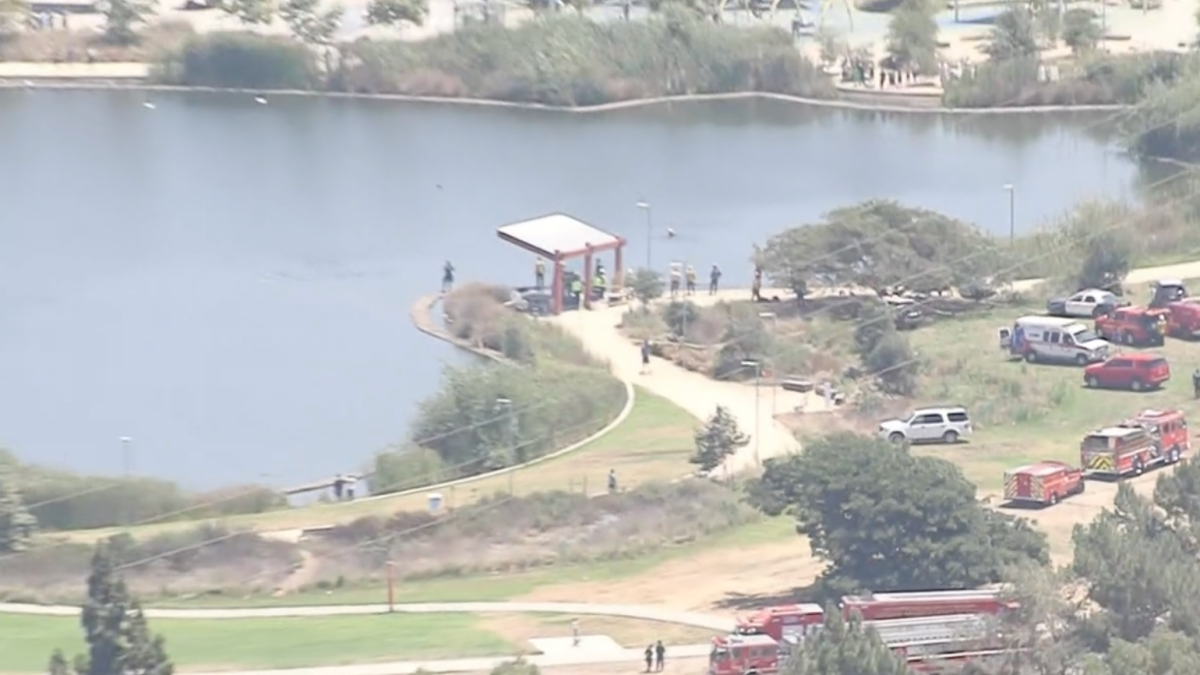 Man rescued from water at Willowbrook park in critical condition NBC
