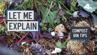 Let Me Explain: Compost Bin Tips