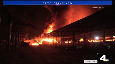 Animals evacuated due to pallet yard fire in Ontario