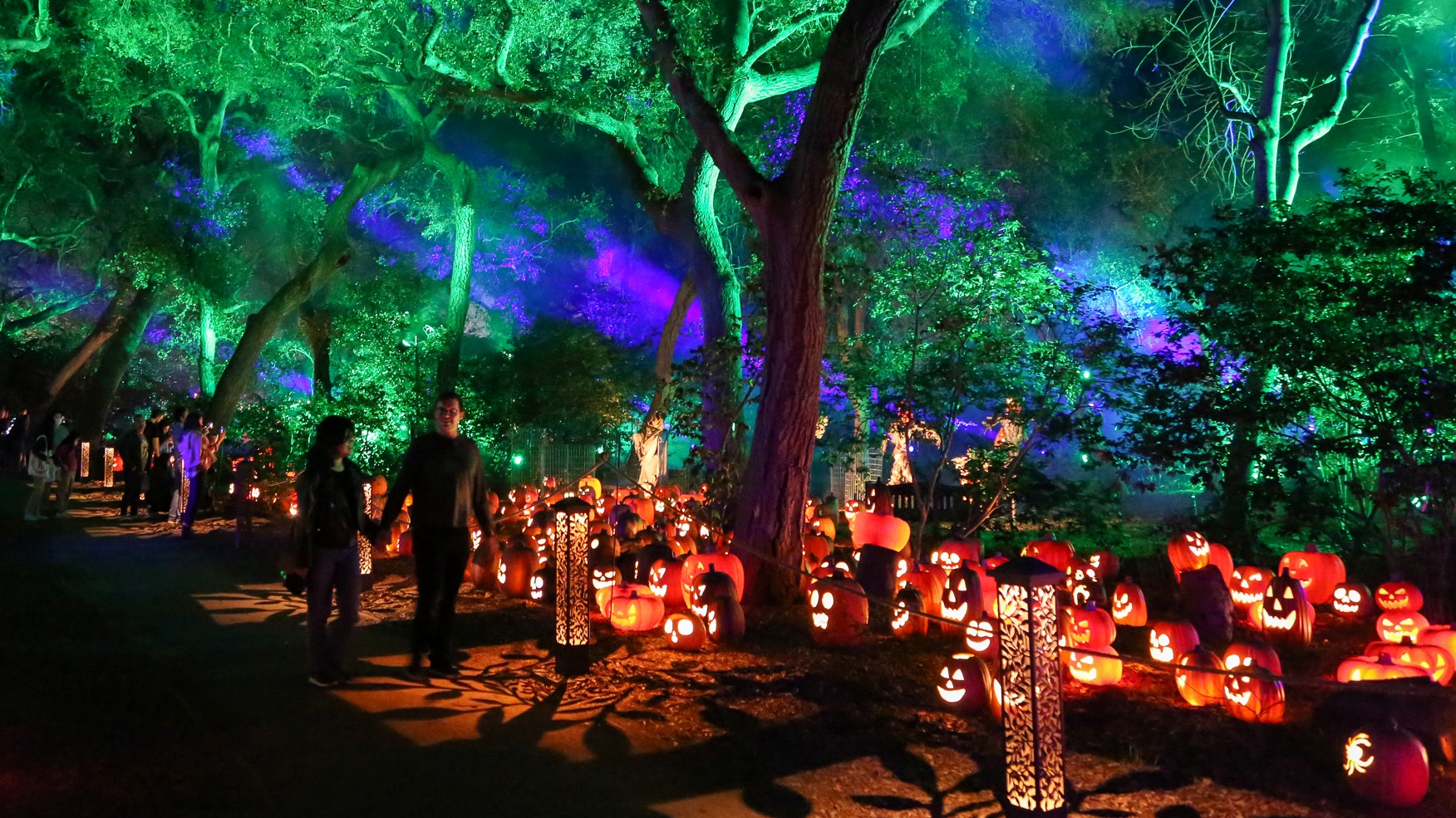 A new route will shimmer at 'Carved,' the popular pumpkin pop-up