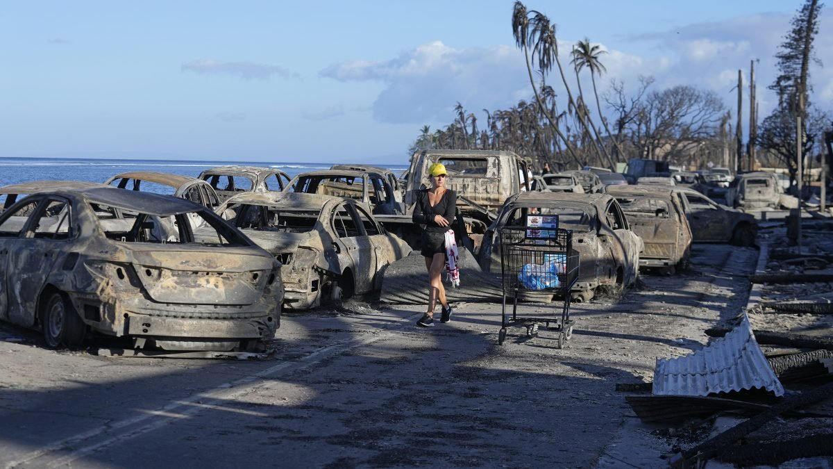 Maui wildfire victims receive help from Paradise fire survivors – NBC Los Angeles - Vimarsana News