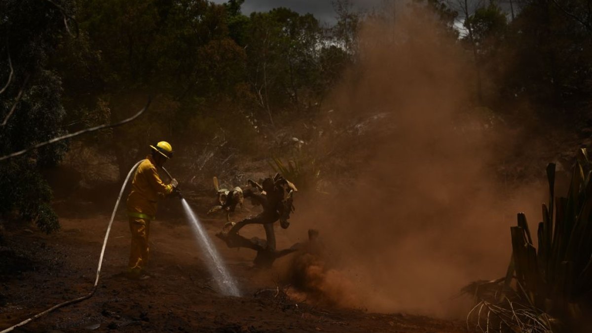Hawaii electric company says power lines did not cause deadly Maui wildfire – NBC Los Angeles - Vimarsana News