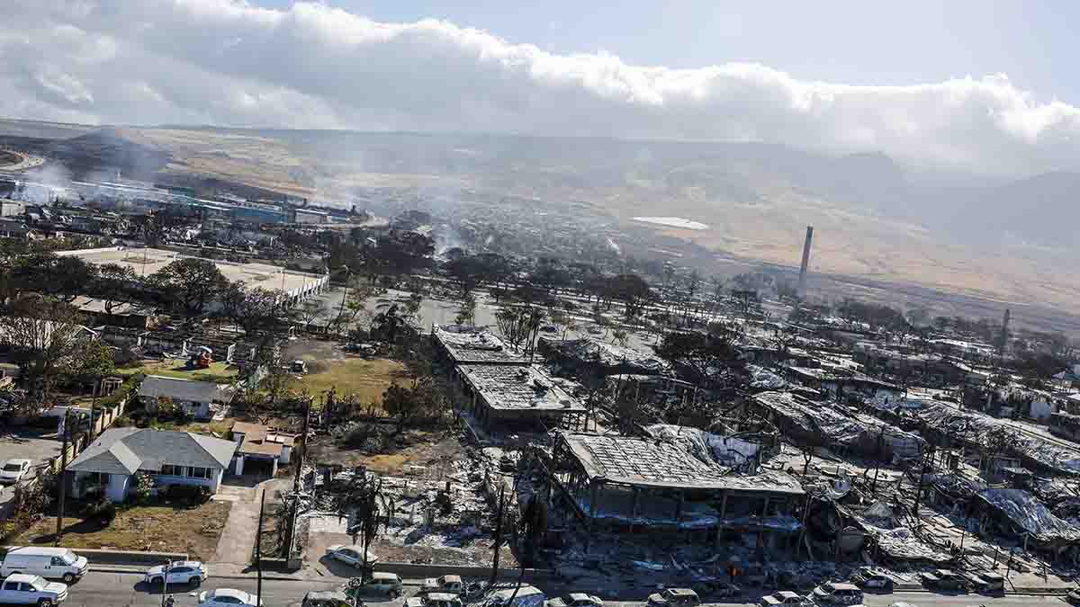 ‘Everybody’s dead’: Maui wildfires leave trail of death and destruction ...