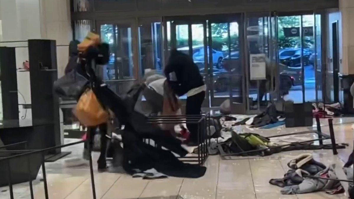 Raw video captures dozens of thieves swarming Nordstrom department