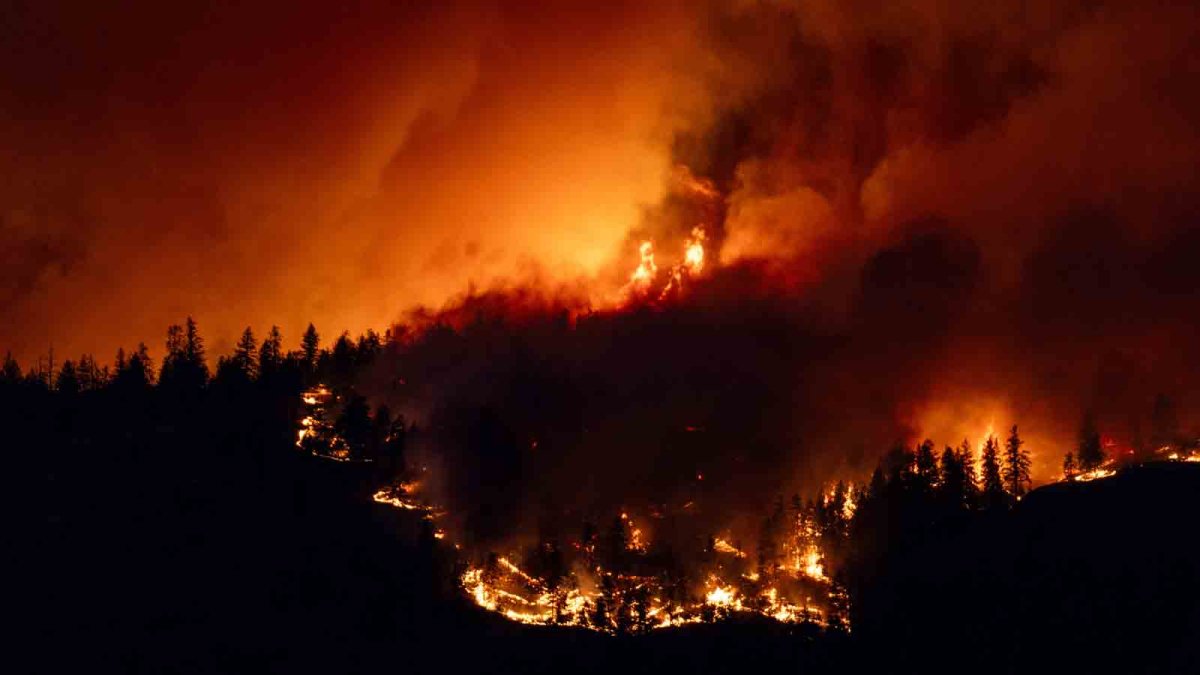 Canadian firefighters battling wildfires to save communities – NBC Los Angeles - Vimarsana News