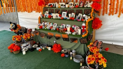 Celebrate your beloved pet with an ‘ofrenda’ at the LA Zoo – NBC Los ...