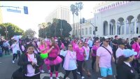Annual Susan G. Komen walk for breast cancer