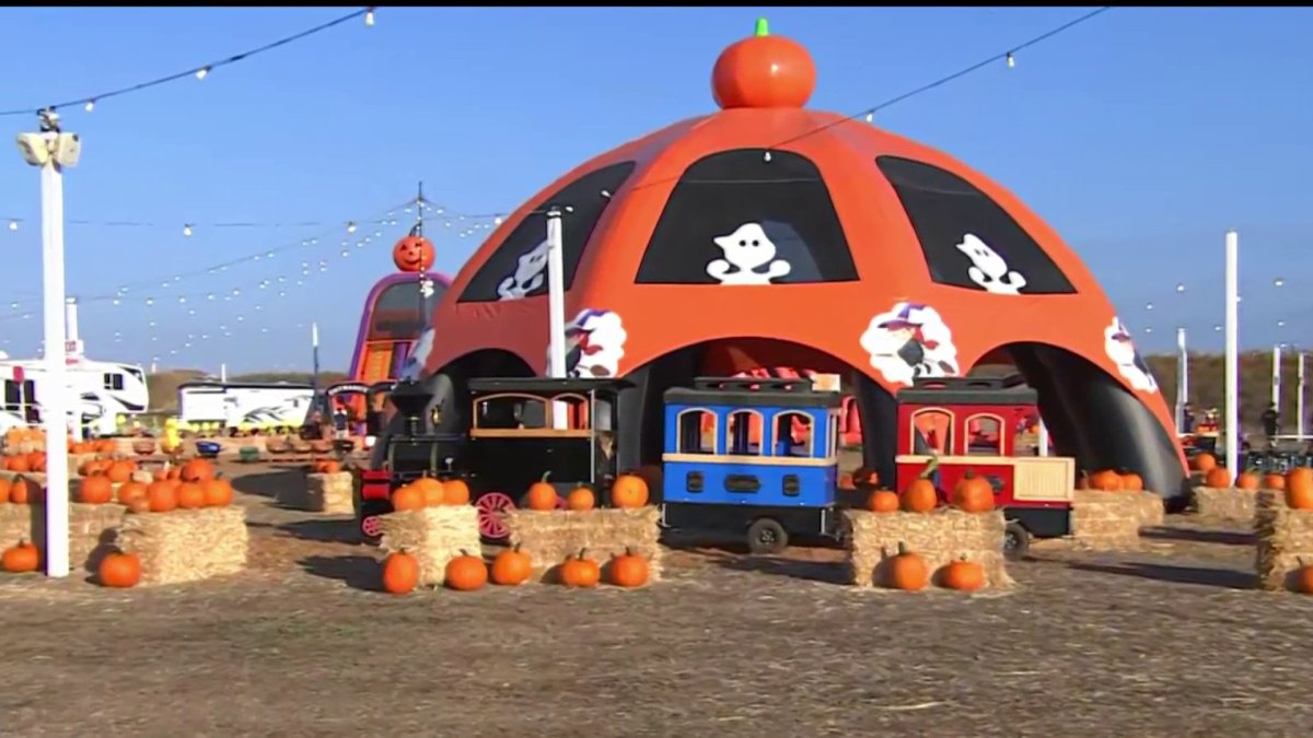 fall-into-fall-festivities-in-murrieta-nbc-los-angeles