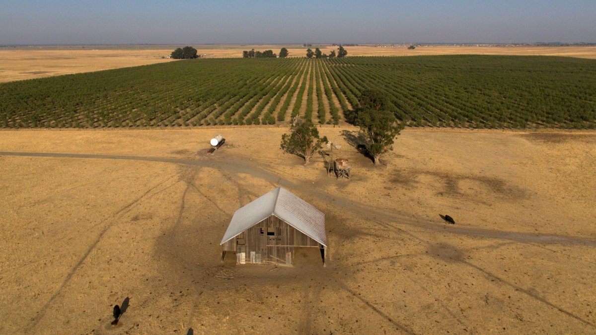 Silicon Valley billionaires want to build a new city in rural Calif. – NBC Los Angeles - Vimarsana News