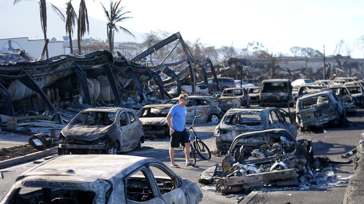 Maui wildfires death toll drops to 97 after DNA testing – NBC Los Angeles - Vimarsana News