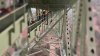 Teen rescued after stunt mishap leaves him dangling from California's tallest bridge