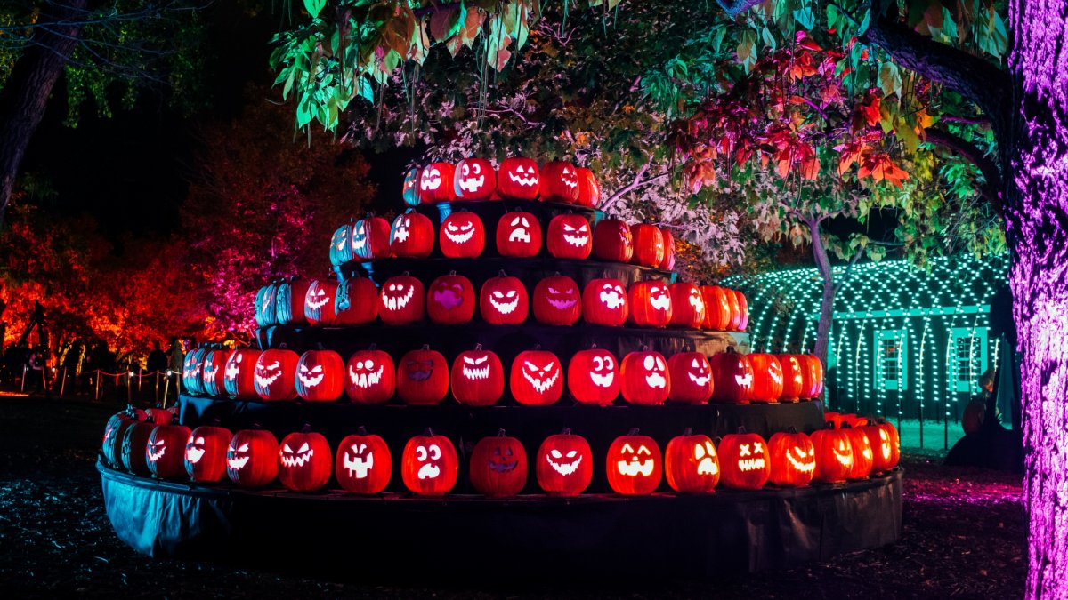 Multiple Nighttime Events Engage Communities Across US