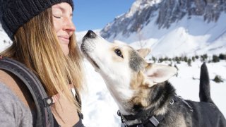 Rachael Rodgers photographs shelter dogs, which helps them get adopted faster.