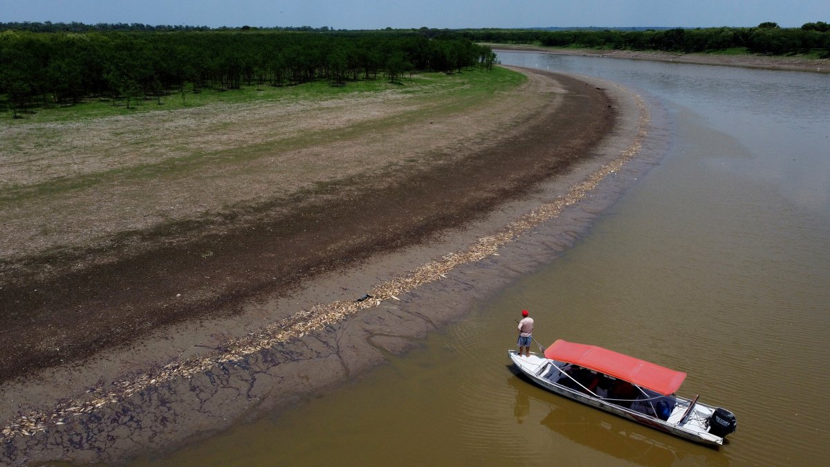 Brazil's Amazon faces drought and high water temperatures, causing more than 100 dolphins to die – NBC Los Angeles - Vimarsana News