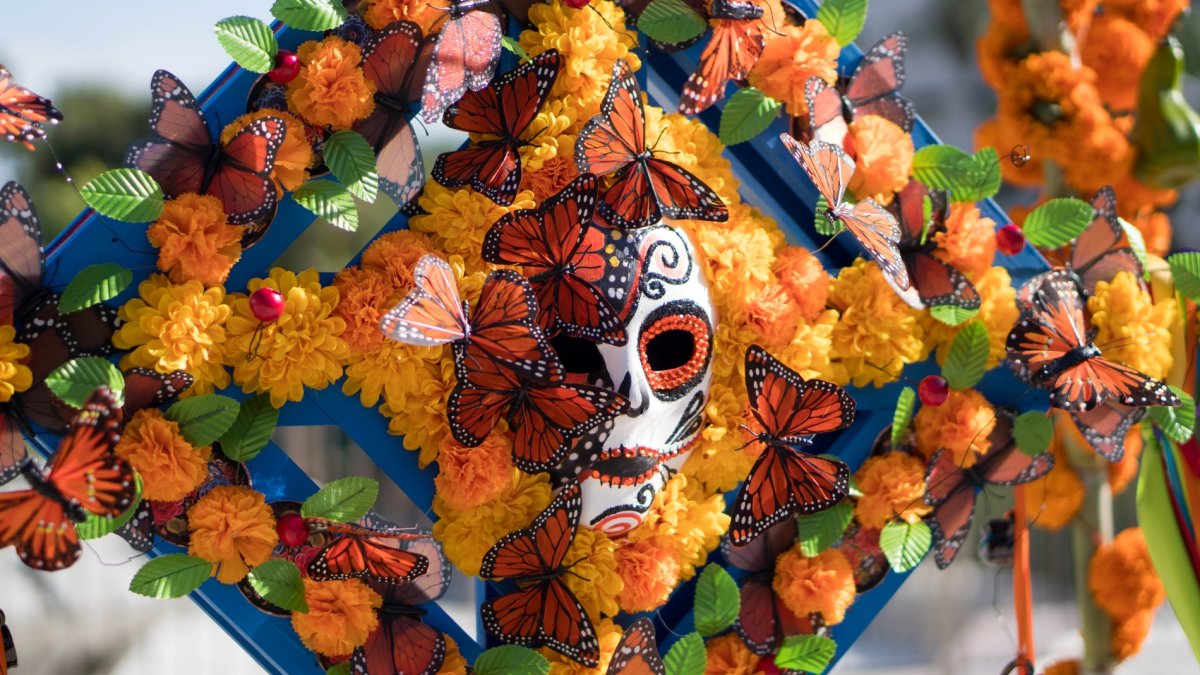 Things to do this weekend: Día de los Muertos altars are unveiled at Gloria Molina Grand Park – NBC Los Angeles - Vimarsana News