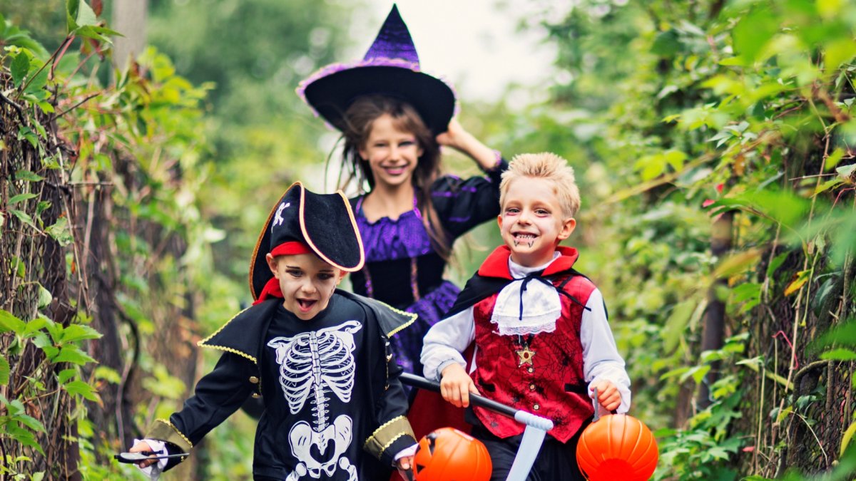 Trick-or-treat in a land of 'Freaky Flora,' adorable owls, and starlight: LA Arboretum – NBC Los Angeles - Vimarsana News