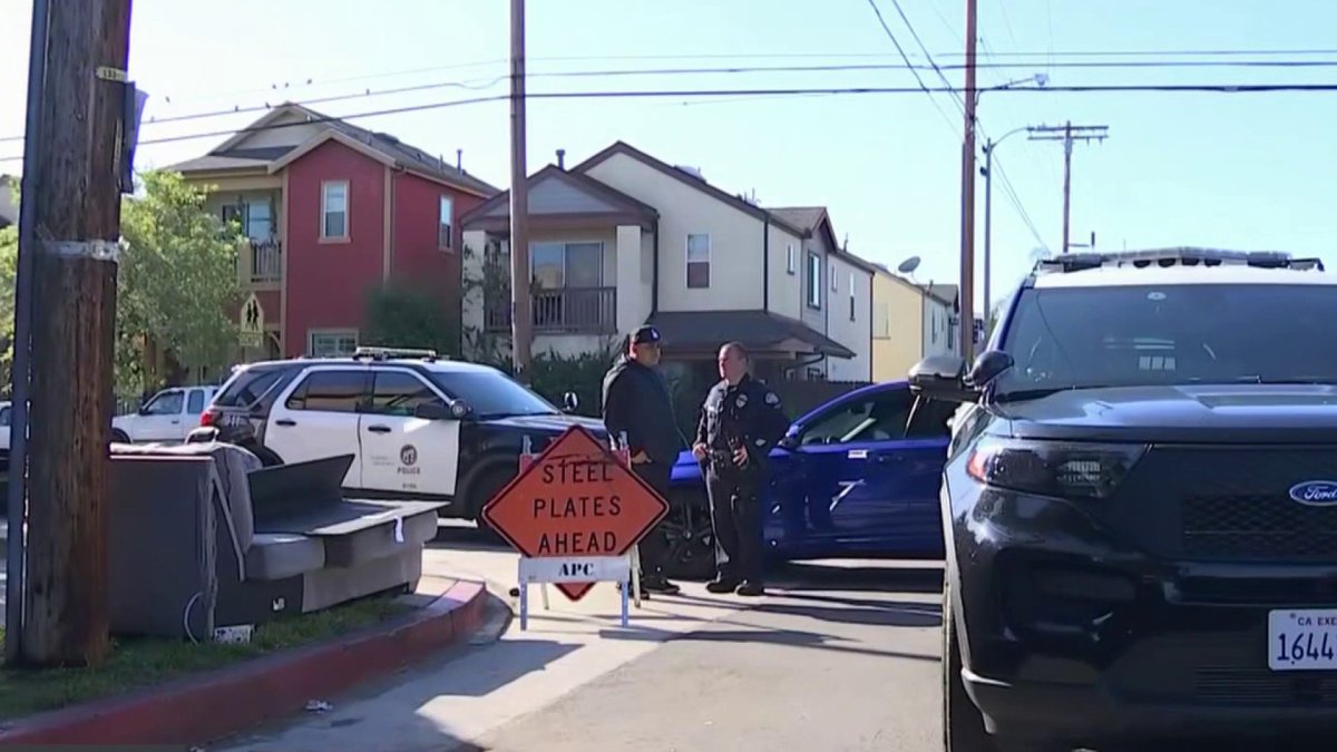 Hit-and-run driver who killed woman walking dog in North Hills sought - Vimarsana News