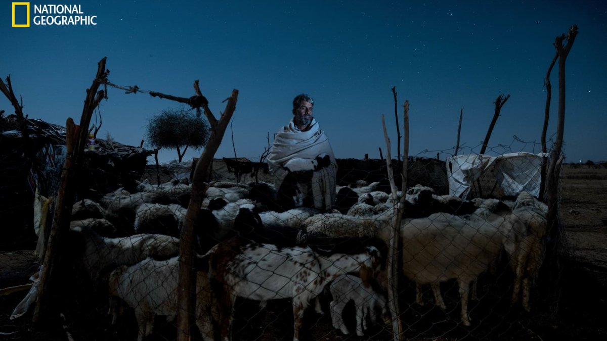 See the photos that made National Geographic's 'Pictures of the Year' – NBC Los Angeles - Vimarsana News