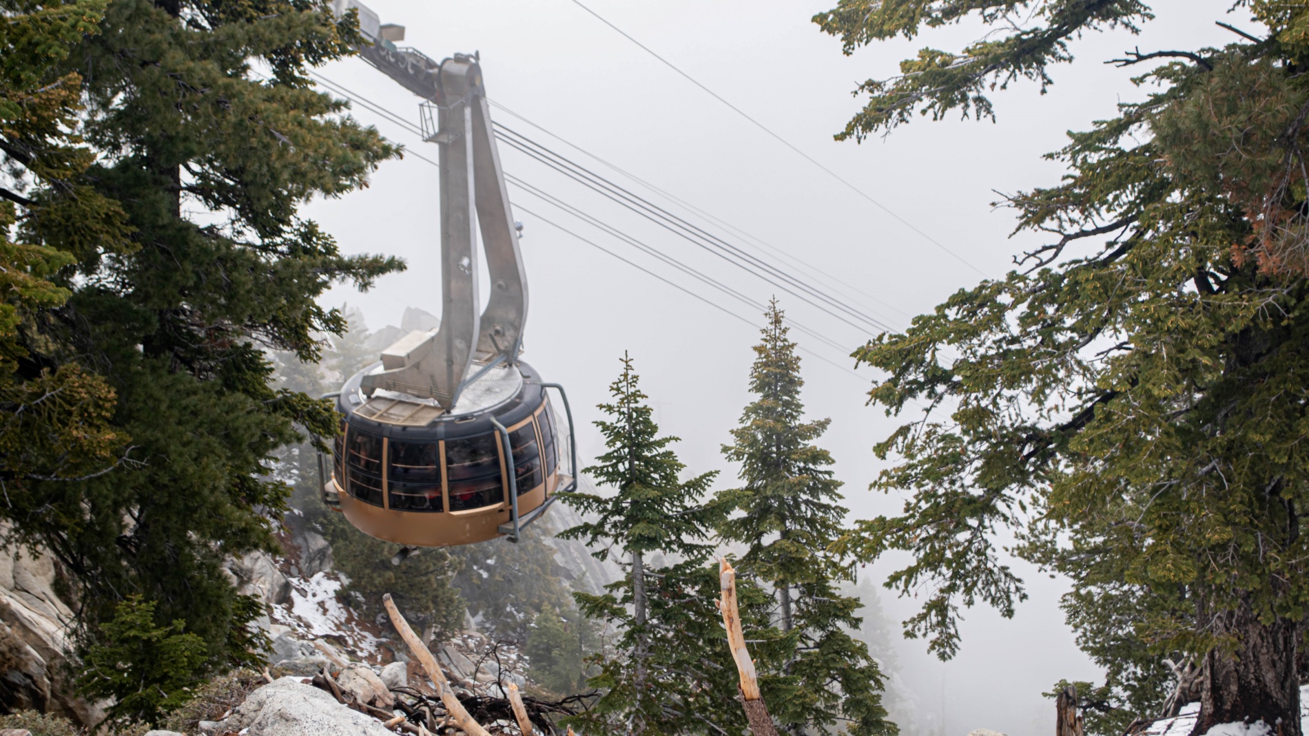 Palm Springs Aerial Tramway Christmas Tree Lighting Ceremony, 2014