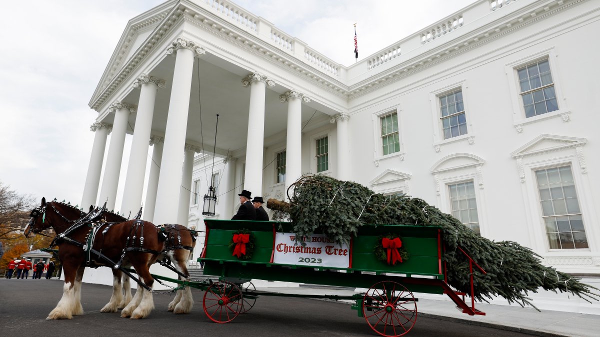 See the 2023 White House holiday decorations – NBC Los Angeles - Vimarsana News