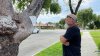 Pasadena resident gets conflicting reports from city after tree damages his truck