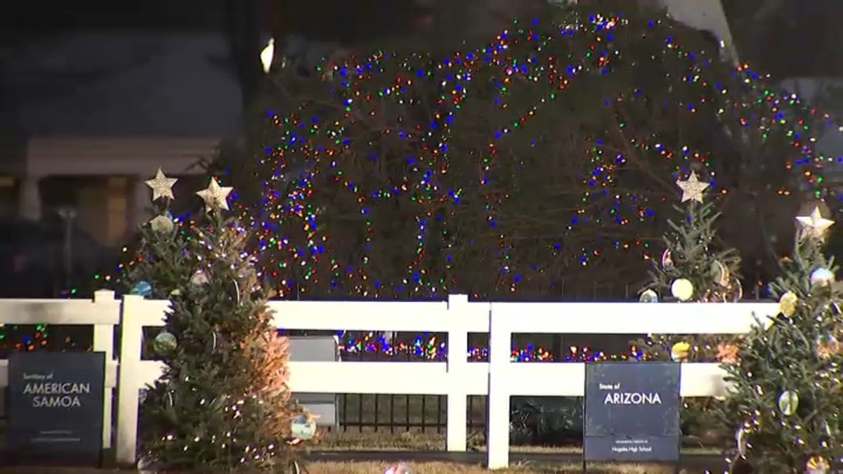 Wind topples National Christmas Tree at White House NBC Los Angeles