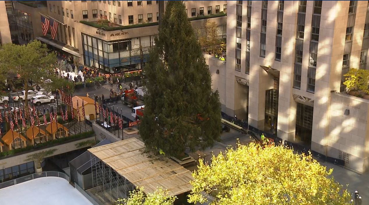 Rockefeller Center Christmas Tree arrives in New York City NBC Los