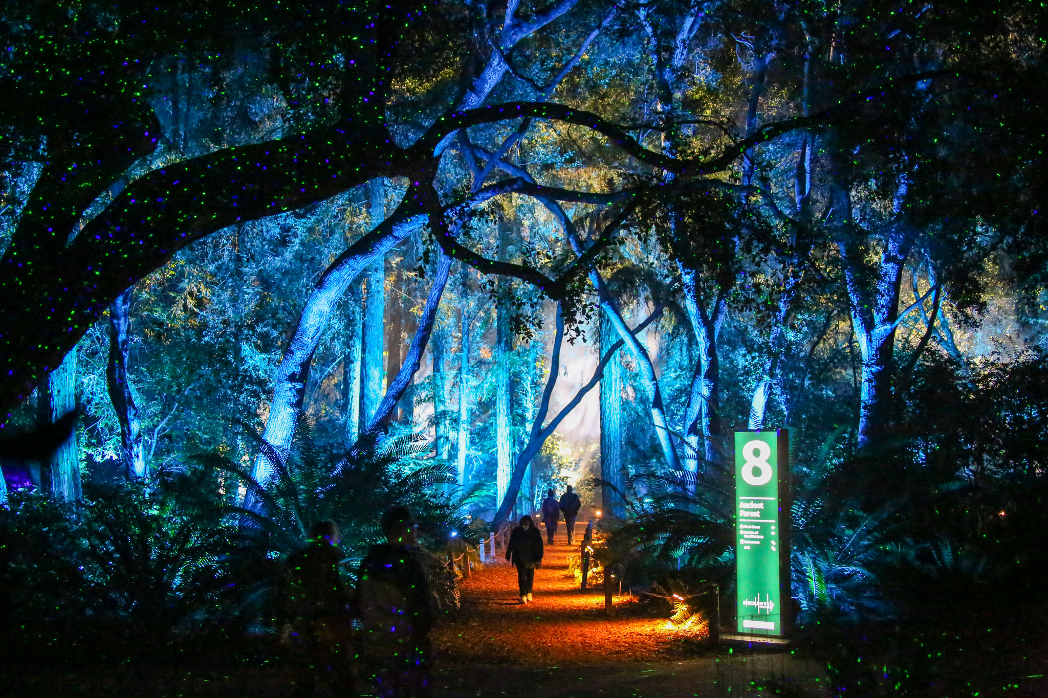 キャンバスドローイング『The forest at night』 Enchanted Forest - Relaxing Winter Wonderland Walk in Big