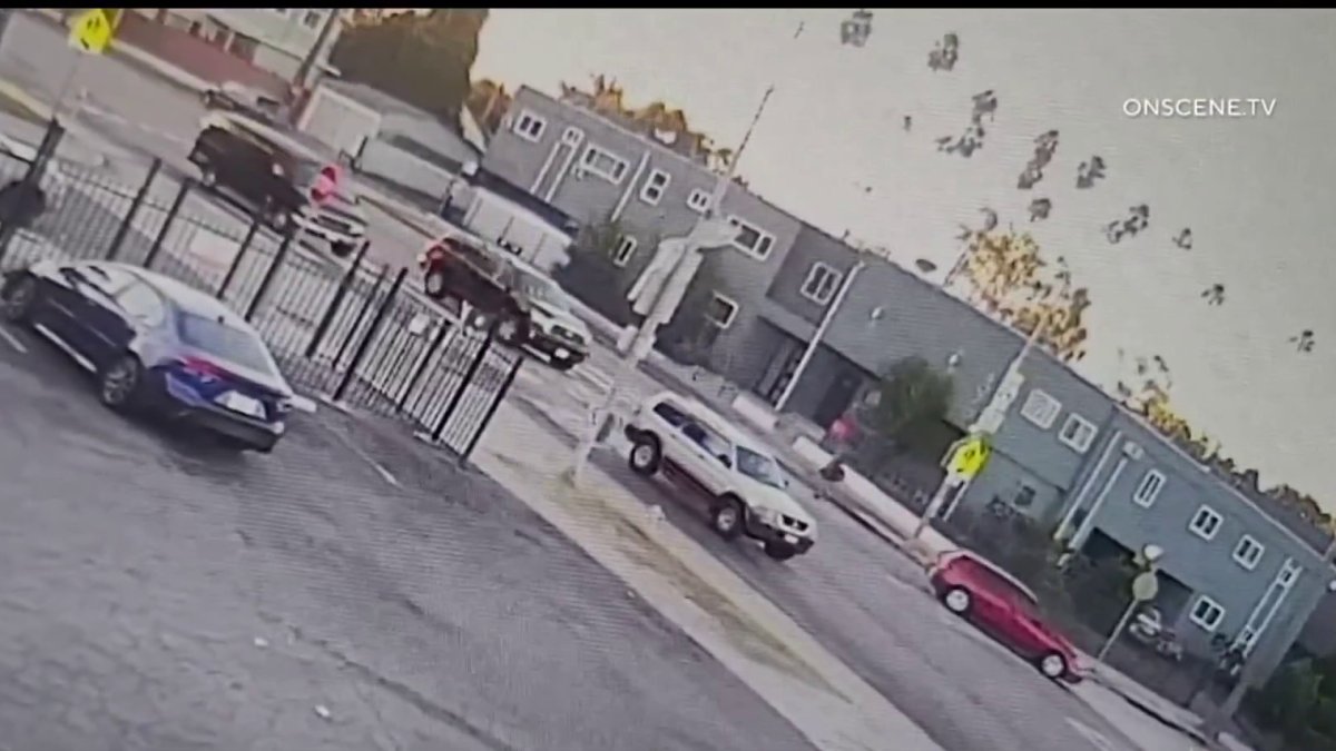 Hit-and-run driver sought in woman's death in Arlington Heights - Vimarsana News