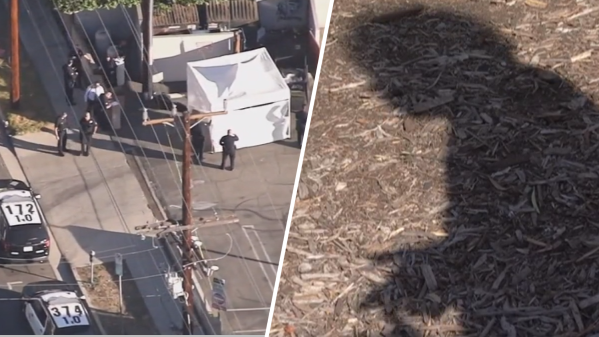 Los Angeles murder suspect hired day laborers to dispose bags of human remains – NBC Los Angeles