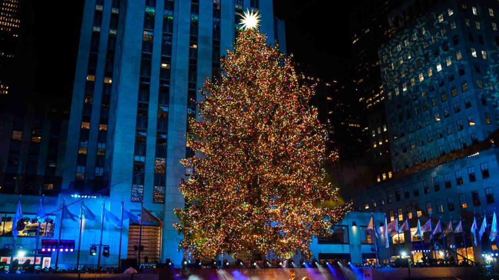 Who picks the Rockefeller Center Christmas tree? NBC Los Angeles