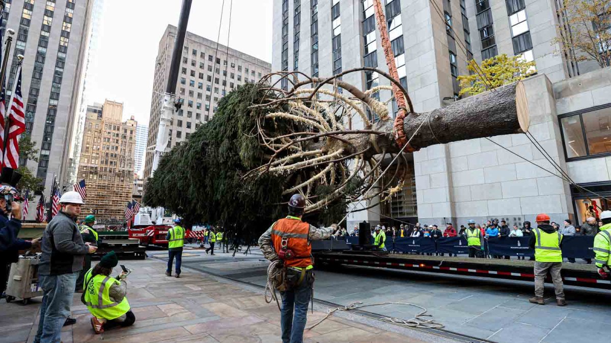 Rockefeller Center Christmas tree What to know NBC Los Angeles