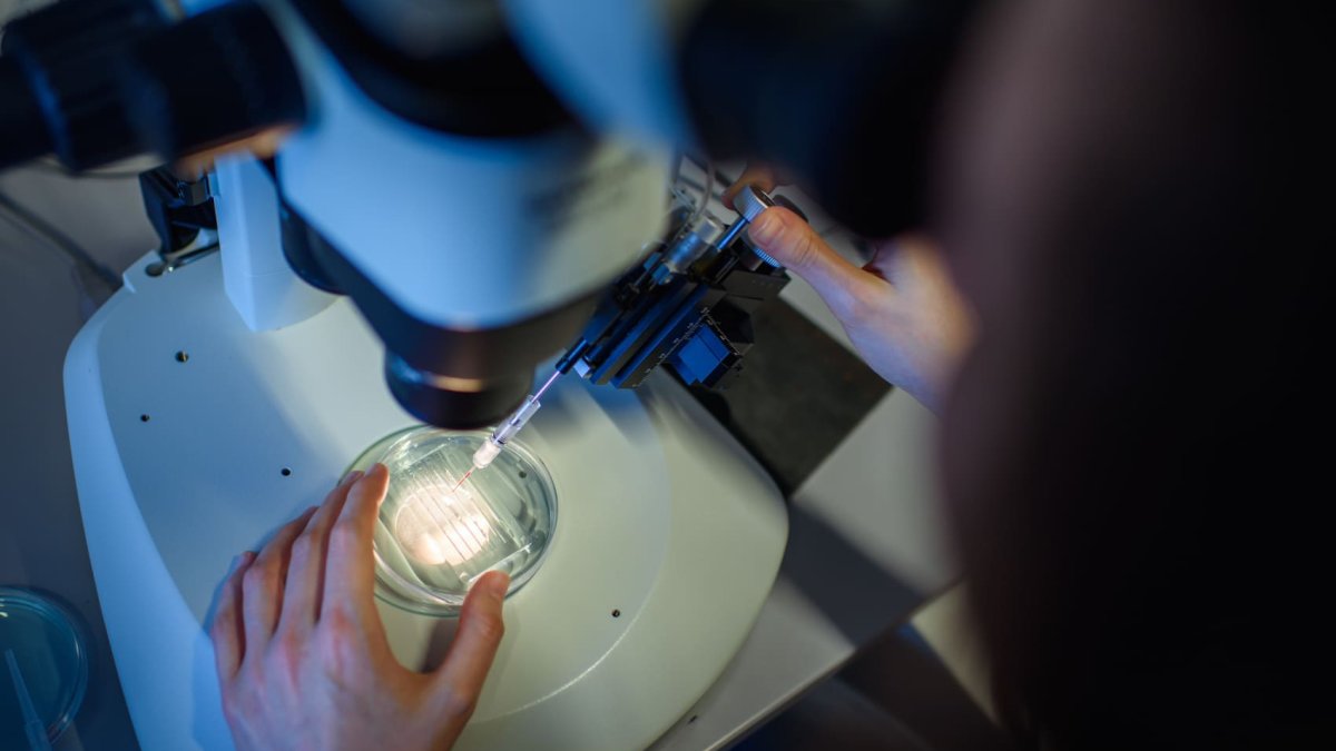 U.S. poised to approve first gene-editing treatment in breakthrough for sickle cell patients - Vimarsana News